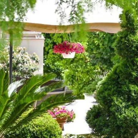 Calypso Royal * Zadar