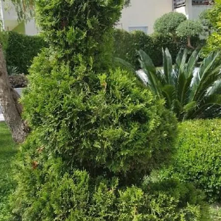 Calypso Royal Appartement *