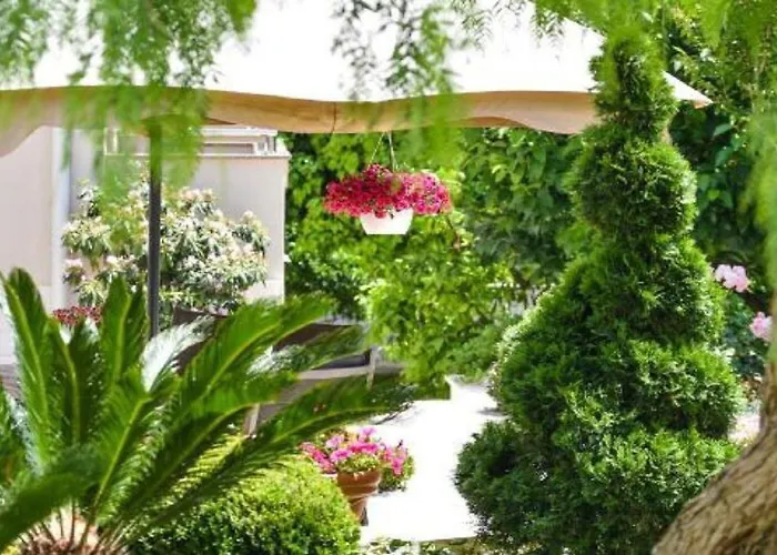 Calypso Royal * Задар