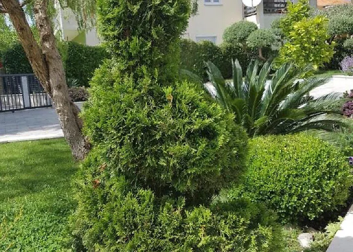 Calypso Royal Апартаменты